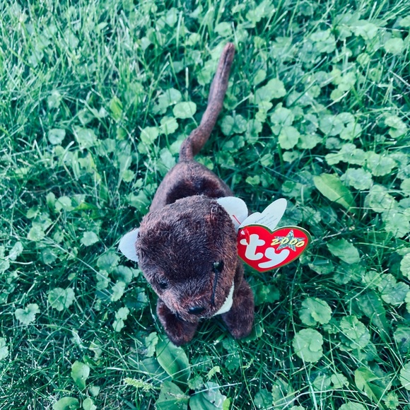 ferret beanie baby